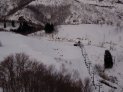初めて見た大行列(^^;